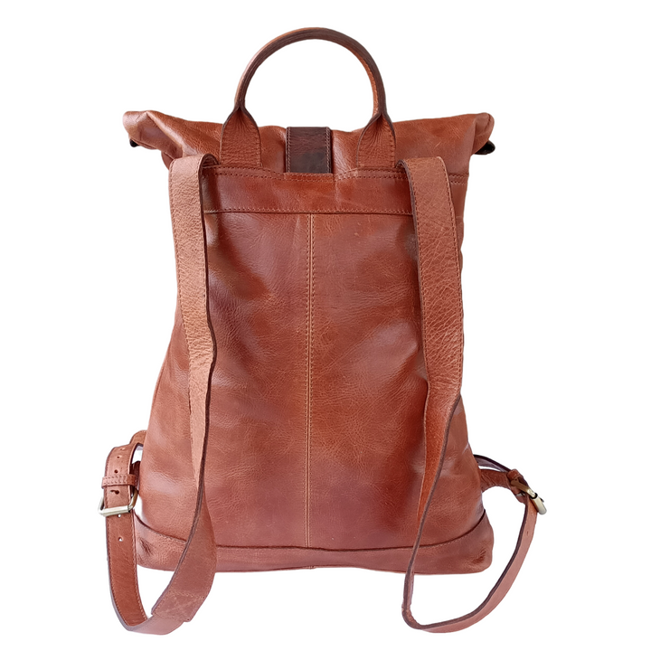 "Brown Leather Backpack in Dark Tone"
